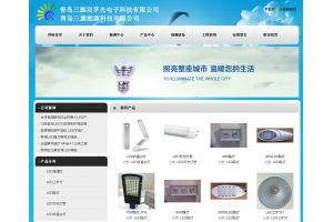 中国三旗光电子科技有限公司